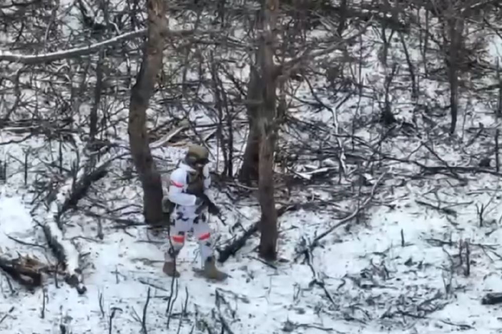� ������-������ �� ���������� ���������� ���������� ������� ������ ��������� ������� ����� ���