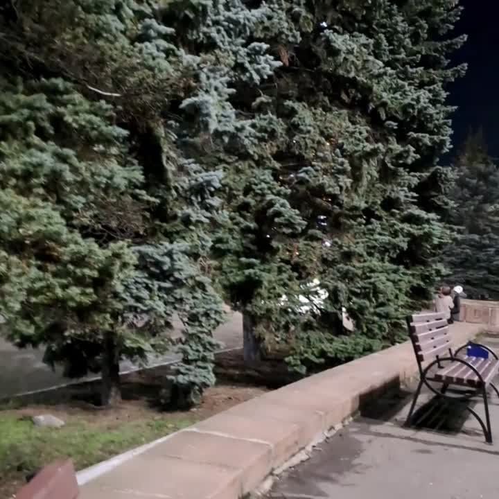 �������� ��������. ������������ �����-������� �������. � ���������, ��� ���������� �����������