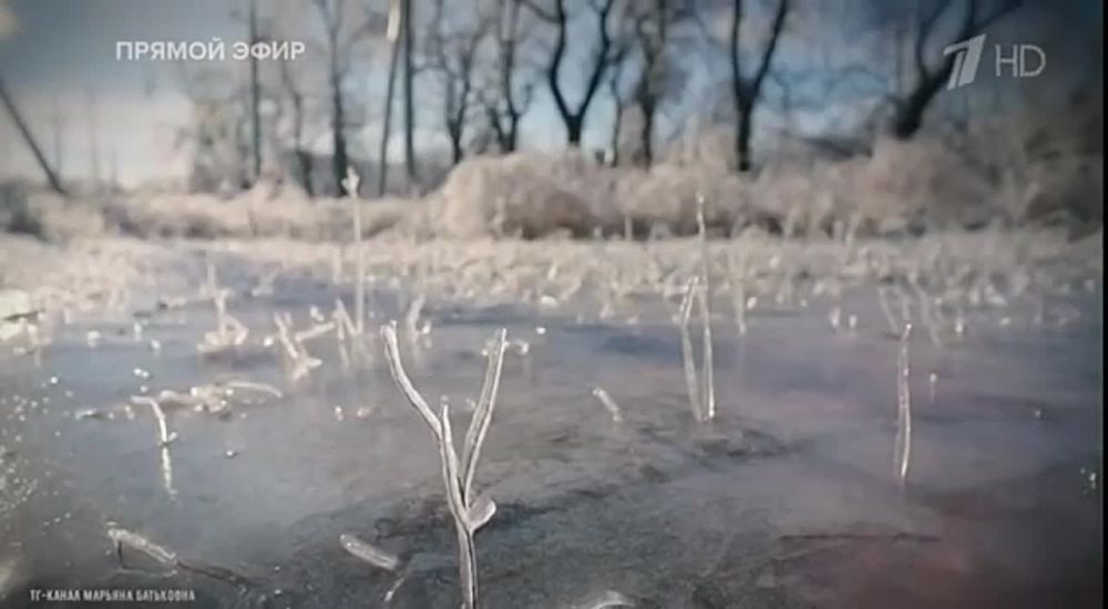 Марьяна Наумова: ЧТОБЫ ПОСКОРЕЕ ЗАКОНЧИЛАСЬ ВОЙНА: