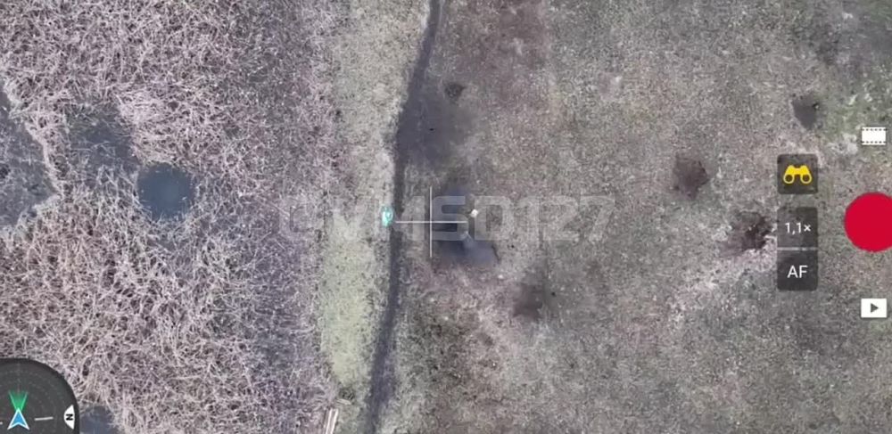 ����� �����: ������-����� ������������