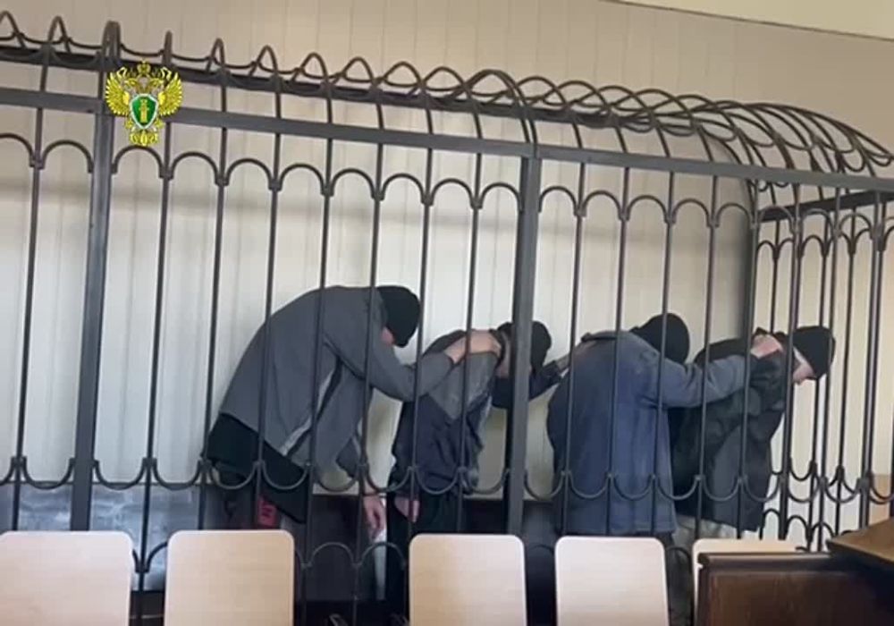 ����� �����: ������������ � ���������