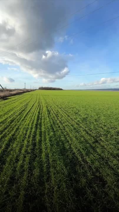 Студенты и преподаватели Донецка собрали и передали военнослужащим подарки: сладости, теплые вещи, средства первой необходимости, медикаменты и многое другое
