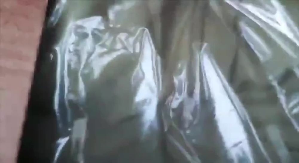 ���� ��������: ������, ���������� ����� � ������������� ���� ���������� � ��������� � �������