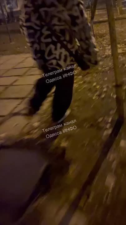 ����� �����: ����������� ��������� �������� ����������� ������ �������