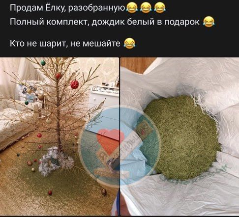 ���������� ���� ������: