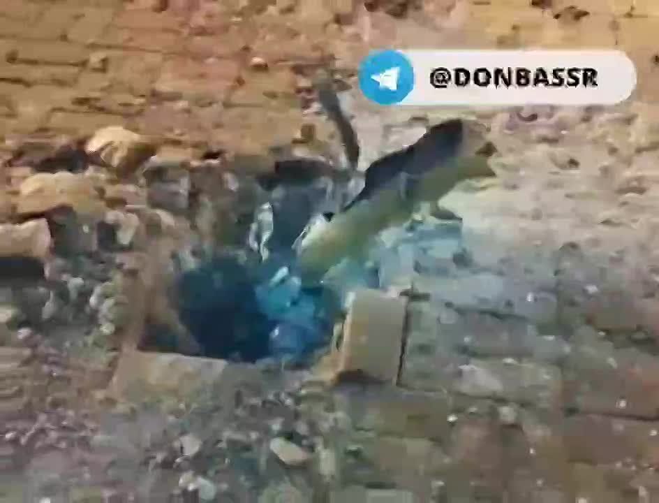 ������� ������� ���� � ���������� ���� �� ������ ������ �������