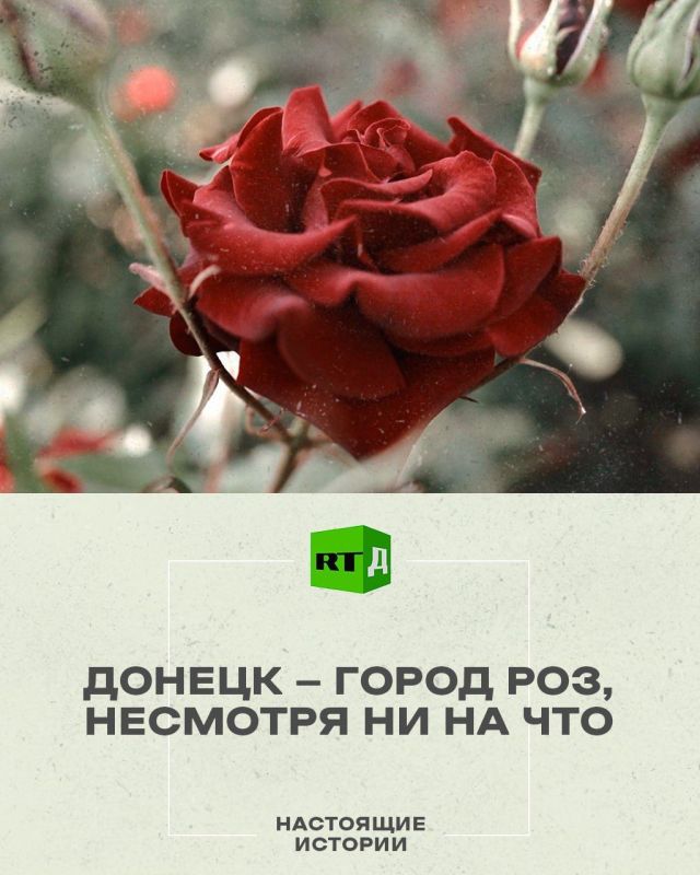 ����� �������� ���. ���, ��� ��� ����� � �������, �����, ��� ���� ����� ��������� ������� � ������