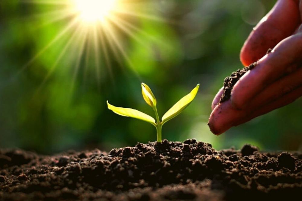 Вице-премьер ДНР Владимир Ежиков об итогах работы в сферах недропользования, экологии, лесного и водного хозяйств в 2023 году: