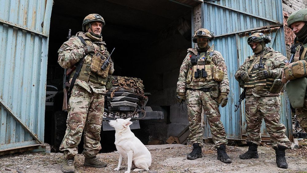 Супер-техника, чуткие уши и собака Белка: бойцы ПВО показали, как сбивают украинские дроны