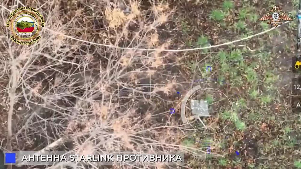 ����� �����: ������ ����� � ������������� ����� ���������� ������������� ����� � ���������