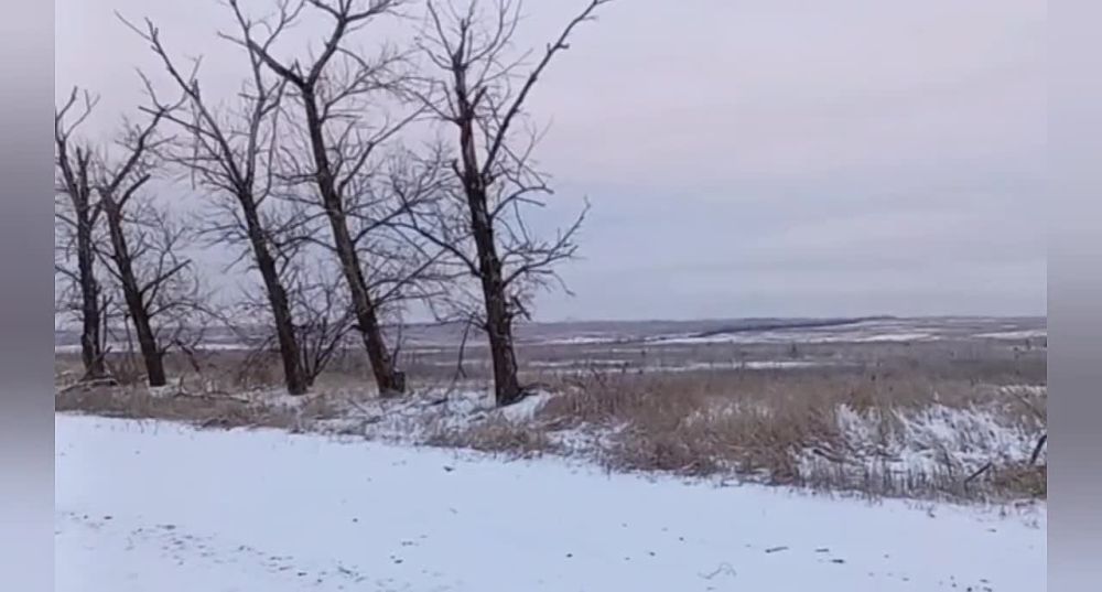 � ���� ���� �� ����-�������� ����������� ����-���������� ����������� ������ "����" � �������� ������� ������ ��������� �� ���� ��������� ���� ����������