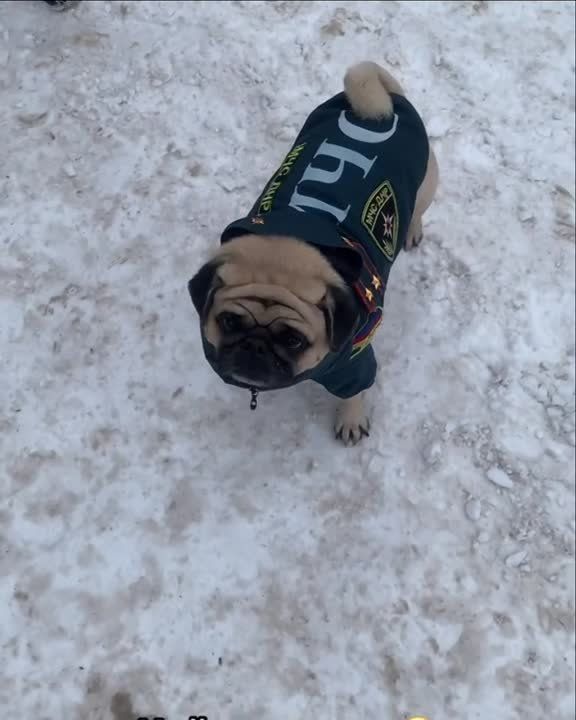 ���������� � ����� ���