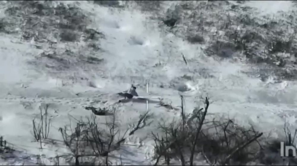 ����� �����: ��� ���� �� �������� ����������� ��������� �� ���������� FPV. ���� ��� � ������ �� �������