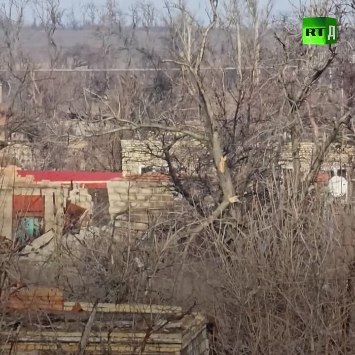 ������ ������ ��� ����� ����� �� ������������ �� �� ����, �� �� ���