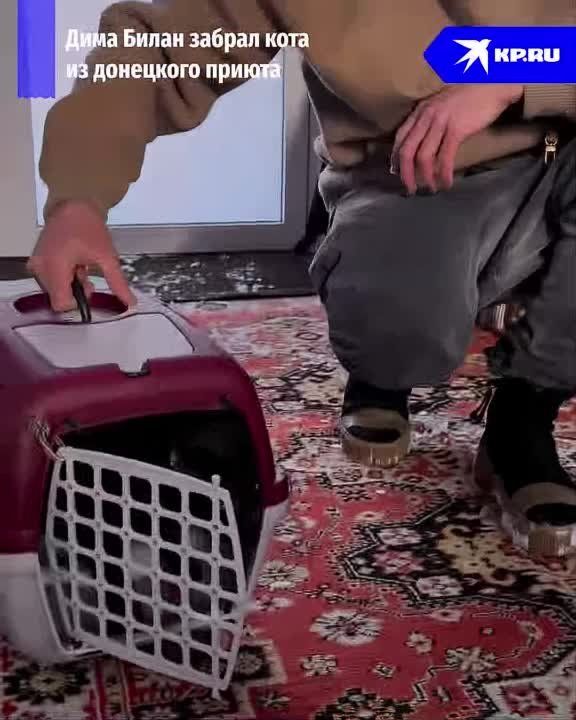 ���� ����� �������, ��� ����� ����� ���������� ���� ������� �� �������