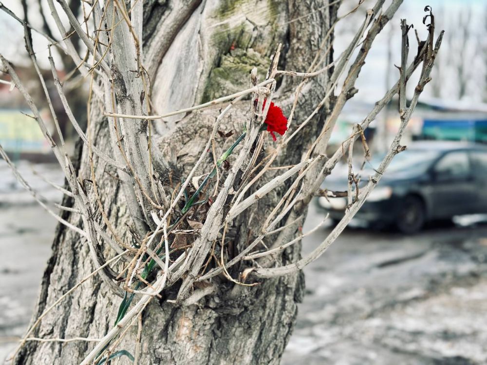 Военный корреспондент Украина.ру в Донецке Игорь Гомольский пишет: