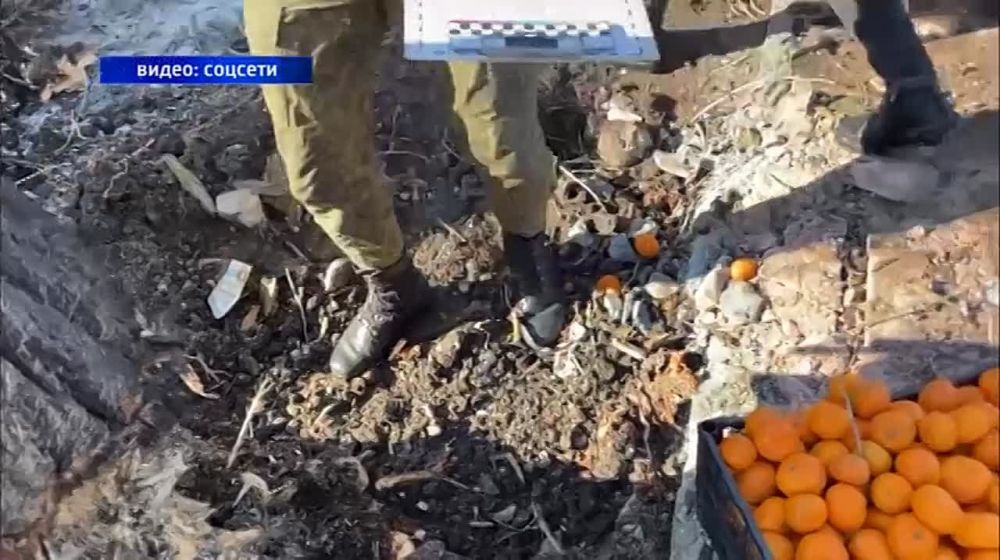 ׸���� ���� ��� ���! ��� ������� ���� �� �������� ����� �������