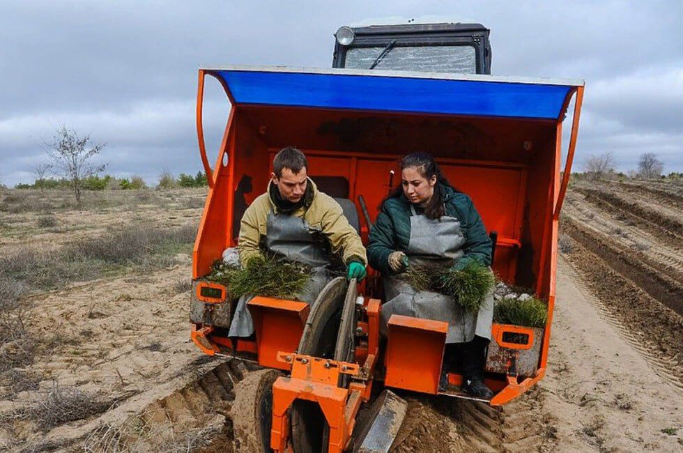 ДНР. Десять единиц лесохозяйственной и лесопожарной техники планируют закупить для ДНР в текущем году за счет федерального...