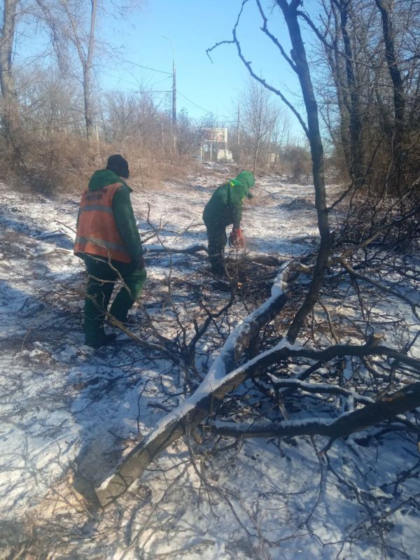 Василий Ткачук: Благодаря упорному труду работников Муниципального унитарного предприятия "ЗЕЛЕНСТРОЙ КАЛИНИНСКОГО РАЙОНА" выполняются работы по уборке и вывозу веток по проспекту Ильича