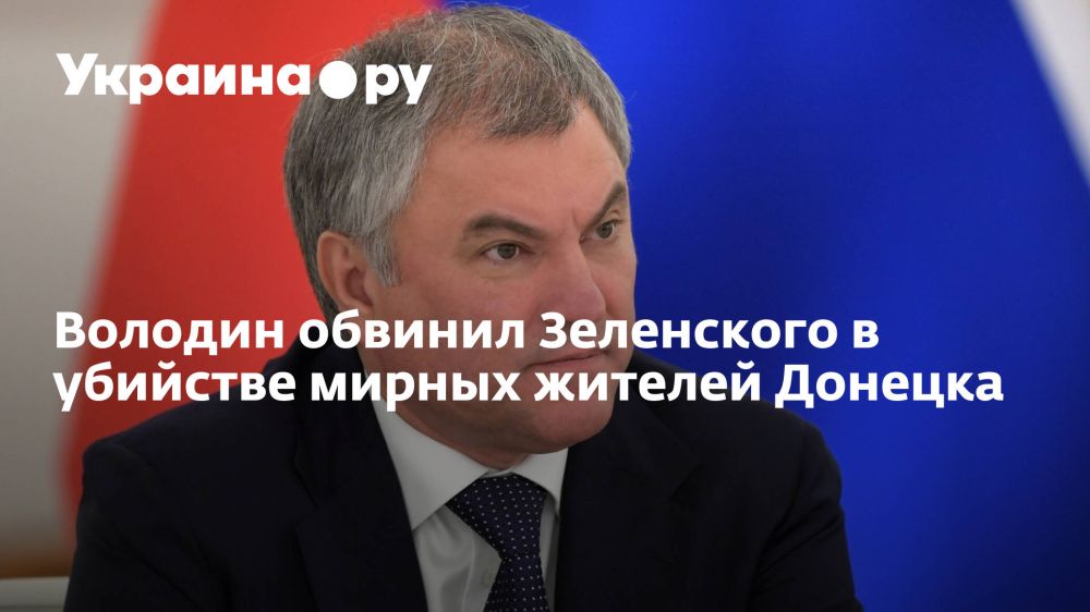 Володин обвинил Зеленского в убийстве мирных жителей Донецка