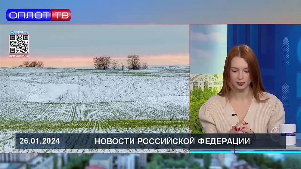 В Донецкой Народной Республике под урожай 2024 года посеяно более 180 тыс. га озимых зерновых