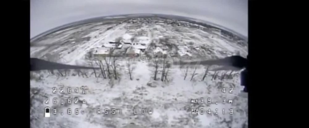 ����� �����: ���������, �������� �����������