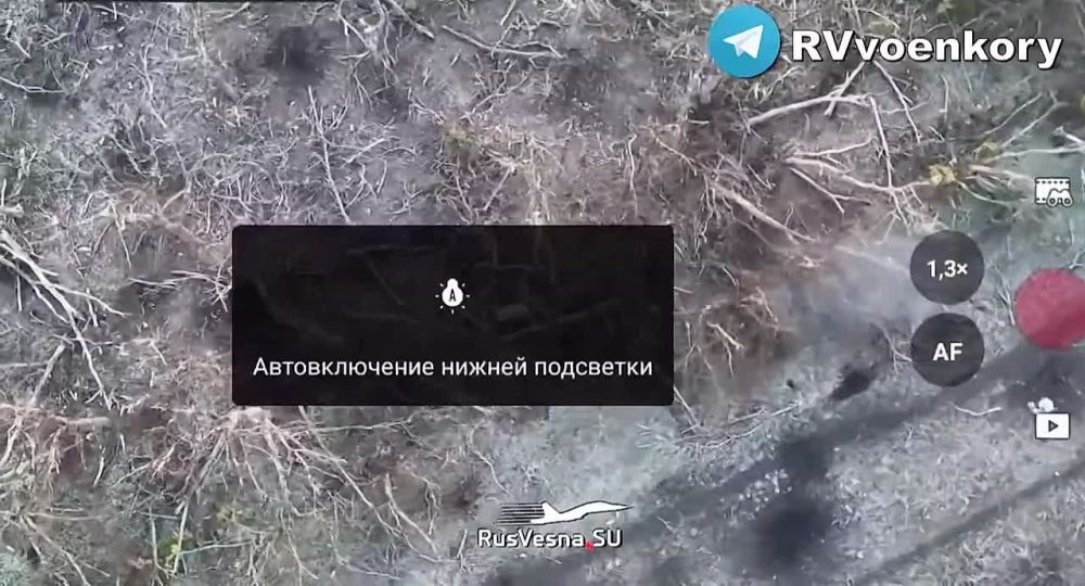 ������ ����� ����������� ������ ��� � ���������: 102 ���� ����������� �����