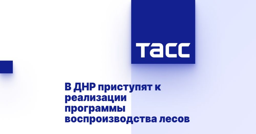 В ДНР приступят к реализации программы воспроизводства лесов
