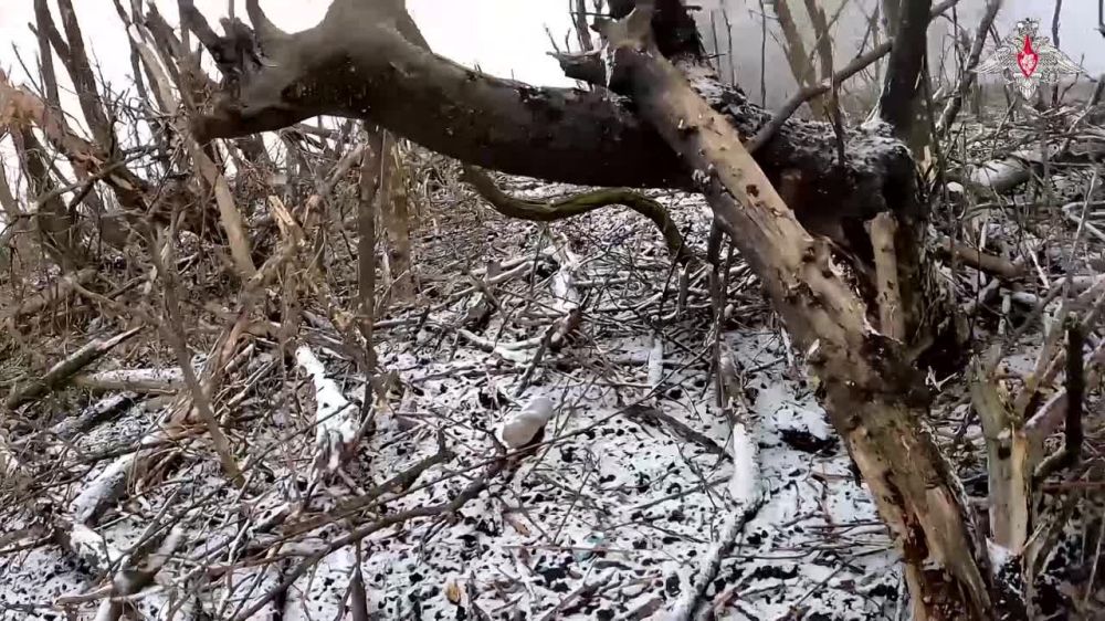 ����� �����: ����� ������� ��� �� ������� ����