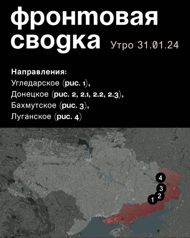 WarGonzo: ��������� ������ �� ���� 31.01.2024