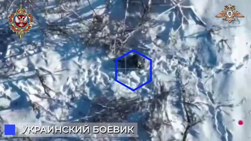 ����� �����: ���������� ������� ����� �������� ������ � ������ �������