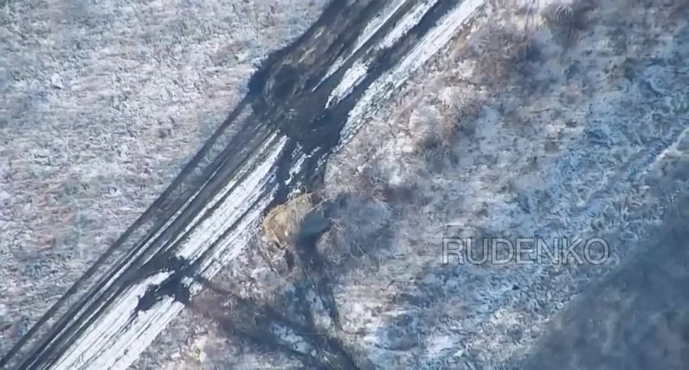 ������ �������: ���� � �������.. ������ ������ ������ �����-��������� � ������� � �������� ���������� �������� �����������