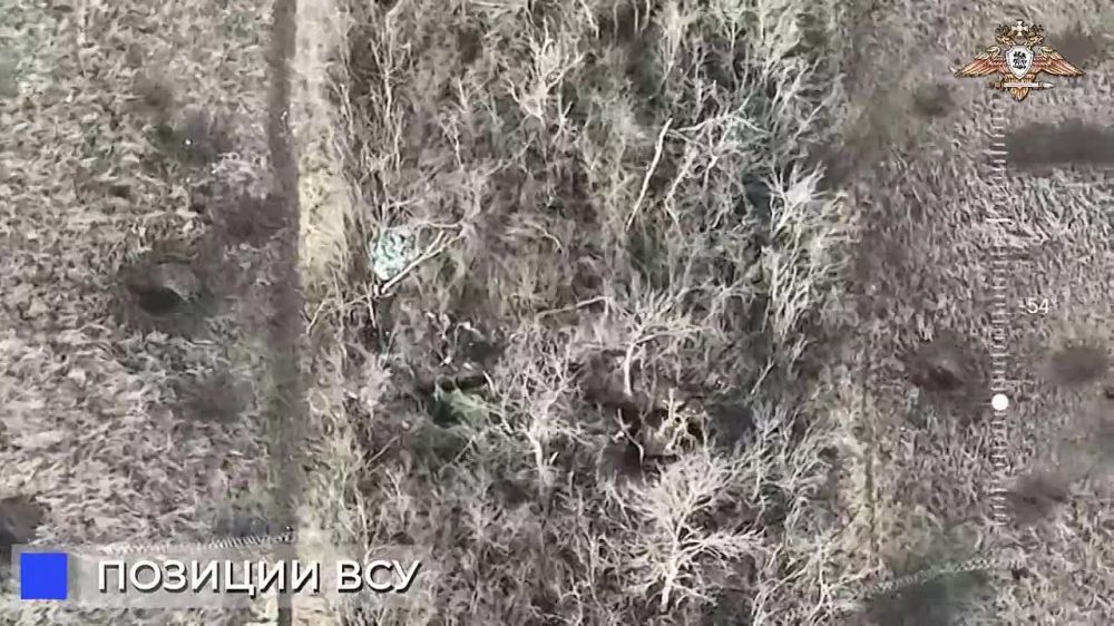 ����� �����: ����� 5 ������� ����� ������� ������� ����������