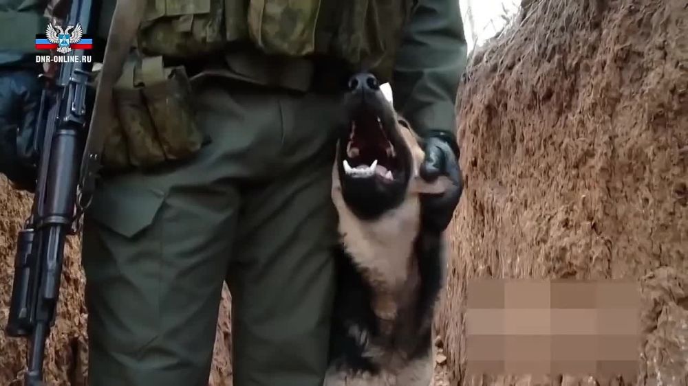 #����������. ����� 7 ��� �����, 8 ������� 2017 ���� � ���������� ������� ����� ����������� �������� �������� ���������� � ������ ������� (�������� � �����)