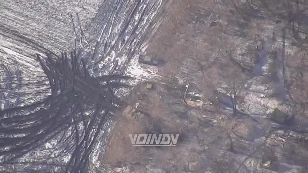 ����� �����: ��������� ������������� ����������� 35 ����� ��������� ��������� ������������ ���������� � ���������� �� ����-�������� �����������