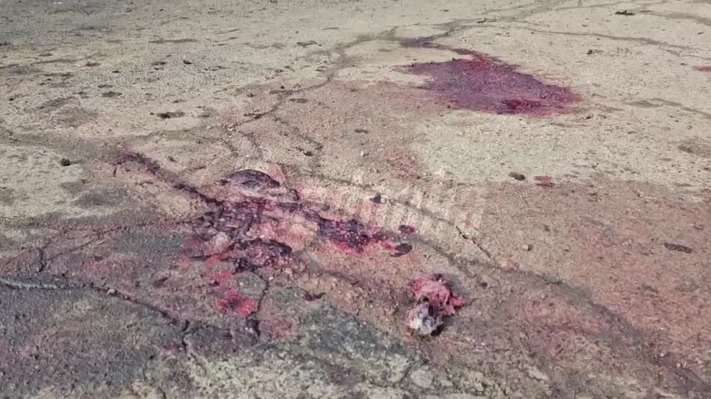 � ���������� ������ ������� ����������� ��� ������� ����� �� ���� �������, �������� �� ���� ���������� � ���� �� ��� �����, ������� ������ ���������� ����