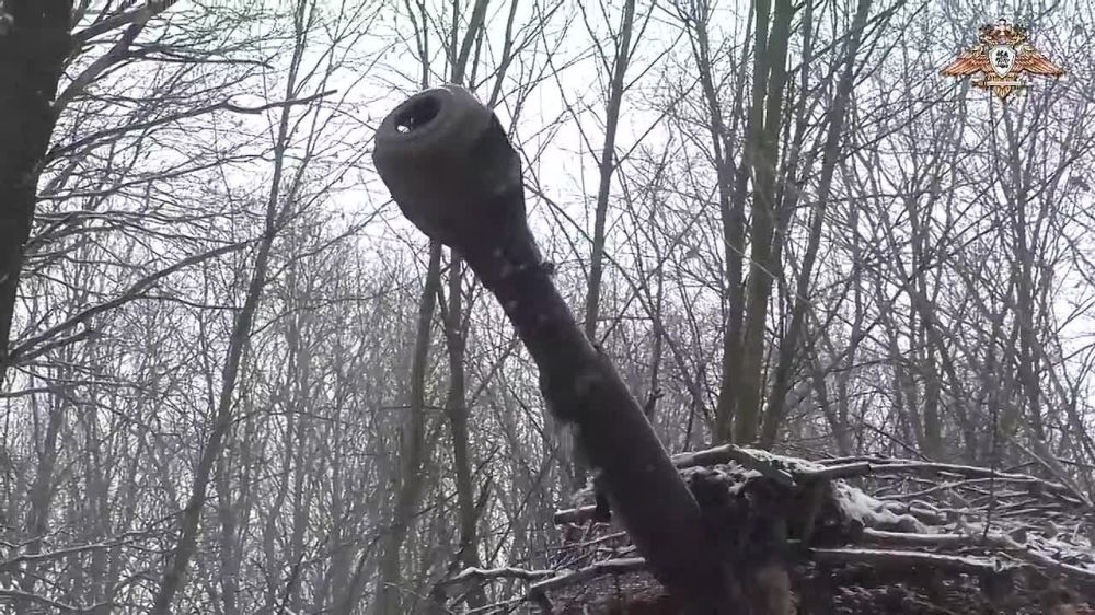 ����� �����: ������������ 1 ���������� ������� ����� ����� �� ���������� �������������