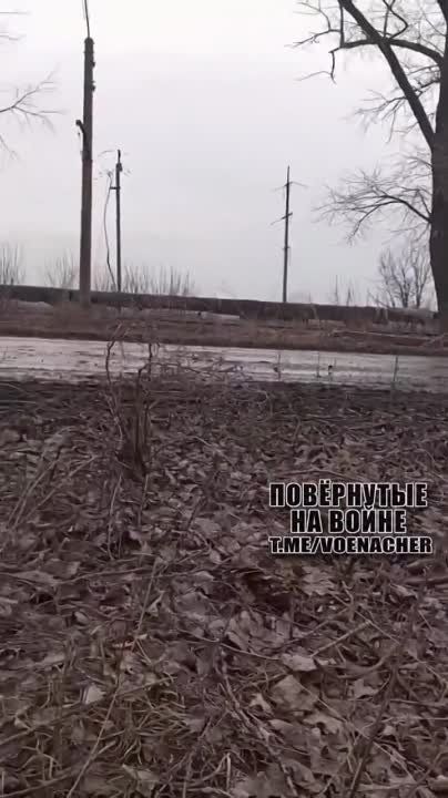 ��� ������ �� 3-� ����, ������� �������� ����� ����� �� ���� � ��������