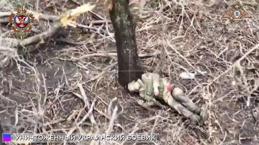 ����� �����: �������� ������ ������ ���������� ��� 58 �����