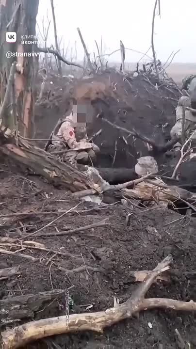 ������������ �������� ����� � ����� �����!