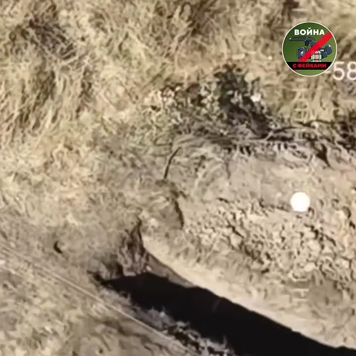 � ������ ������ �������������� �� �������� �������� ����� �������� � �������� ������ ����������