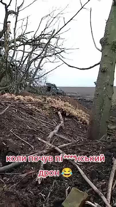 Чингис Дамбиев: Подбитый русским fpv-дроном бронеавтомобиль Iveco LMV боевиков 33 отдельной механизированной бригады украинских формирований