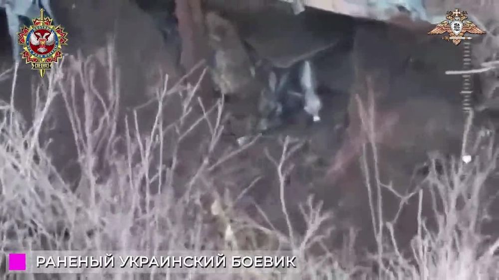 ����� �����: ������ ������ 58 ����� ��������� ������ ���������� ���������� � ���������� �������� ���