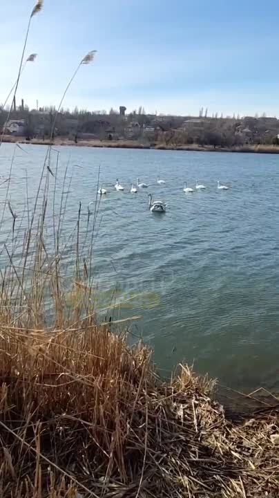������������ ������!. ����� ������ ���������� ���� ������:
