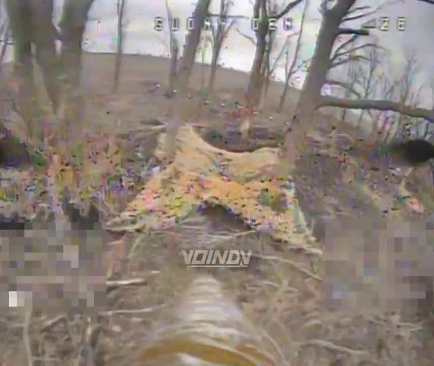 ��������� ���� 29 ����� ��������� �����-��������� ����� � ���� ����������