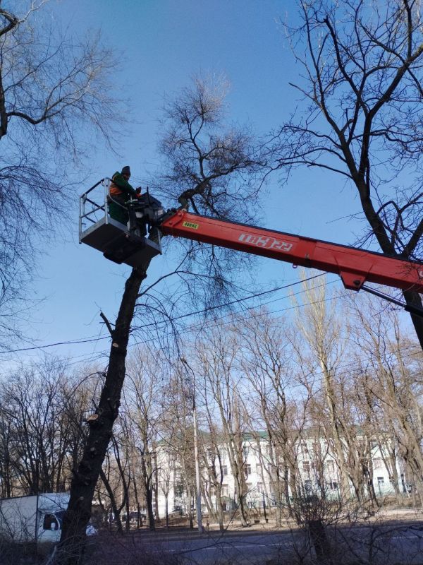Василий Ткачук: Сегодня сотрудниками МУП АГД "ЗЕЛЕНСТРОЙ КАЛИНИНСКОГО РАЙОНА" выполнен распил аварийного дерева по улице Овнатаняна и произведена санитарная обрезка ветвей деревьев по проспекту Ильича
