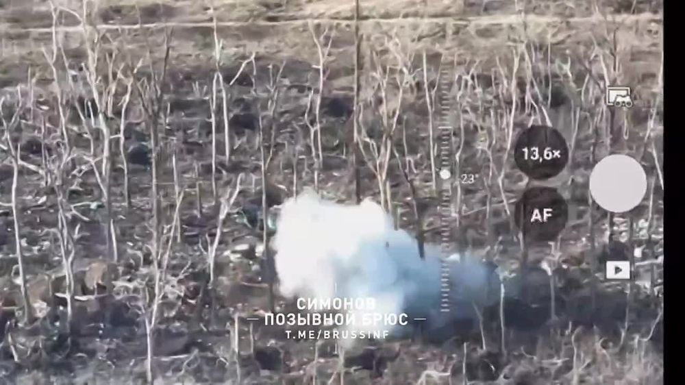 ��������� �������: �������� ������ ����������� ������� ����� ���� ���������� �� ����-�������� �����������