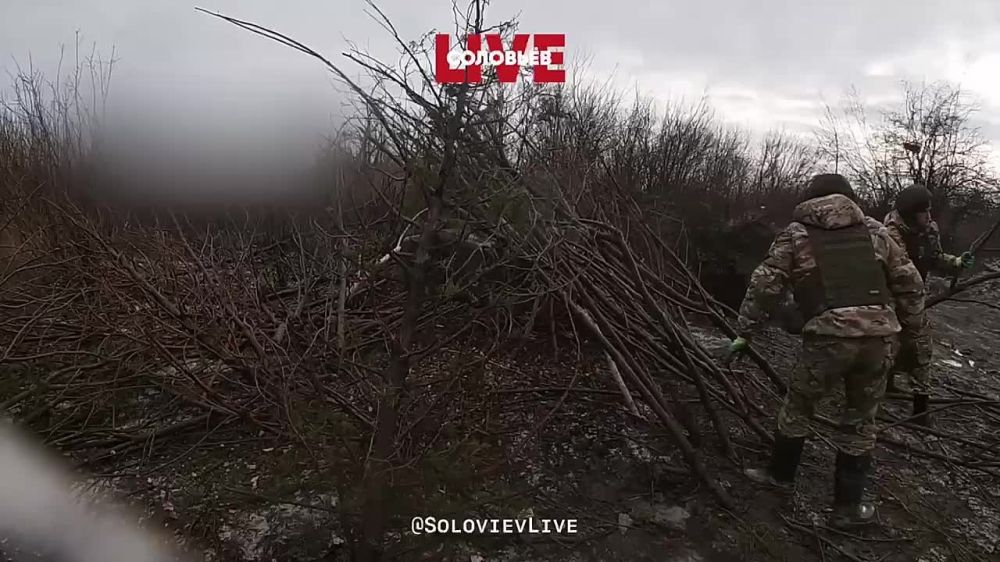����� ���������, ���������: 238 ������� ����� ����������� �������� ���������� ������ �� �������� �����������
