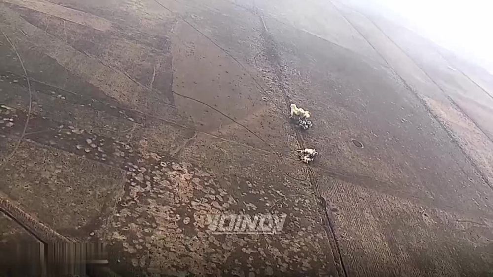 ����� �����: �� ����-�������� ����������� ����� ��� �����