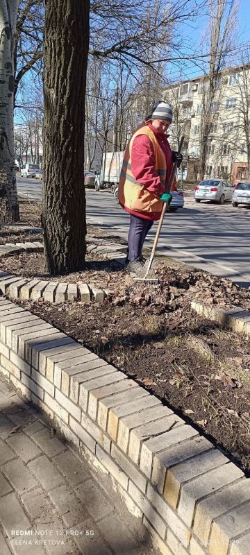 Василий Ткачук: Сегодня сотрудниками МУП АГД "ЗЕЛЕНСТРОЙ КАЛИНИНСКОГО РАЙОНА" осуществляются работы по уборке листвы по бульвару Шевченко